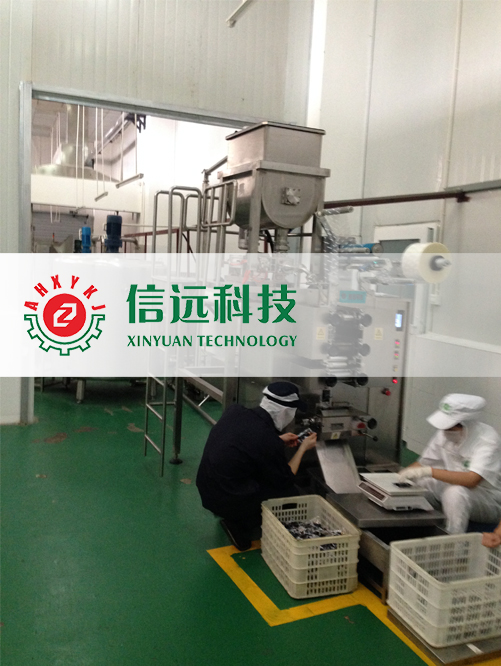 宮保雞丁調料生產線——東莞市蒙自源飲食有限公司